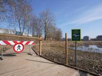 Putnu ligzdošanas periodā līdz 1. augustam slēgta daļa Esplanādes purva takas