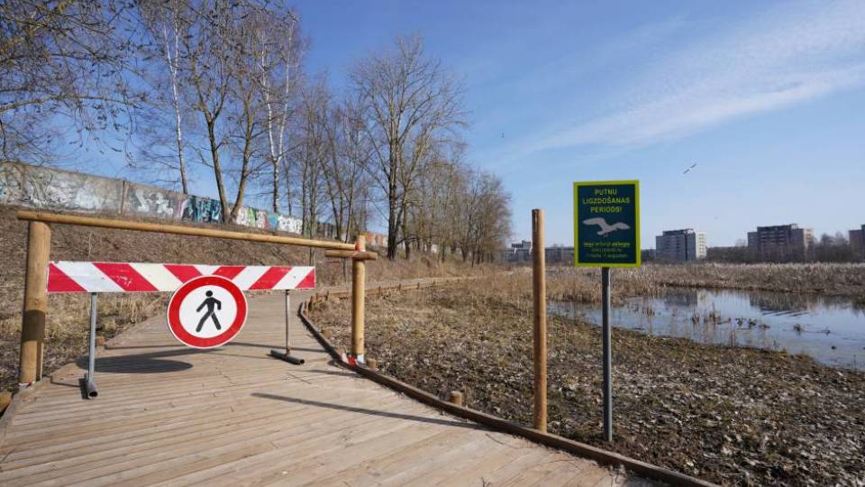 Putnu ligzdošanas periodā līdz 1. augustam slēgta daļa Esplanādes purva takas